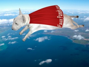 Happy Holidays from Duke, the official FauxPanels.com mascot!